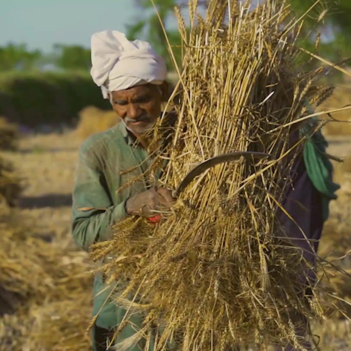 Help Farmers in Hardship - AKHUWAT